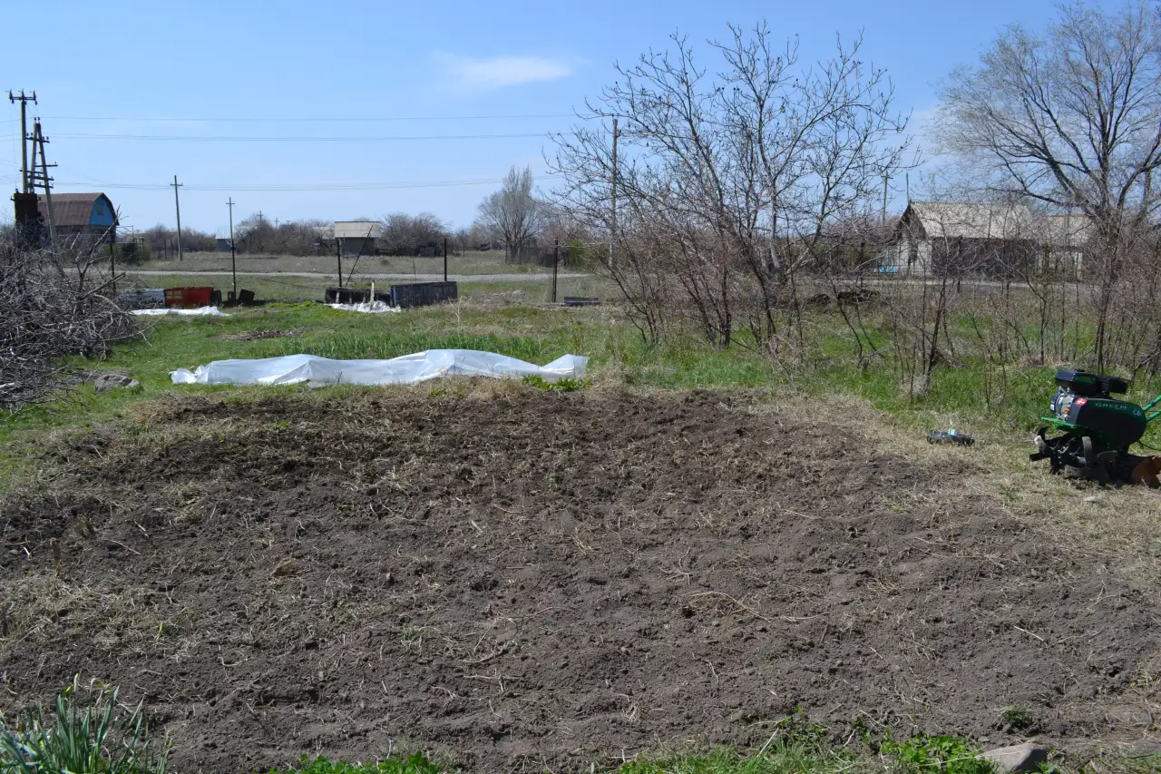 Продается дача 23 сотки, в поселке Акши, Енбекшиказахский район 66 км, фотография 10