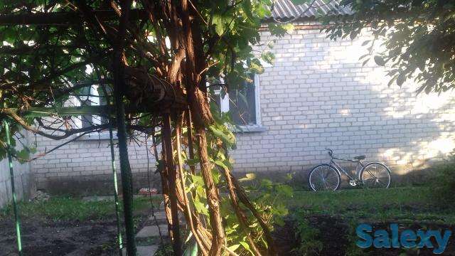 Россия, фотография 1