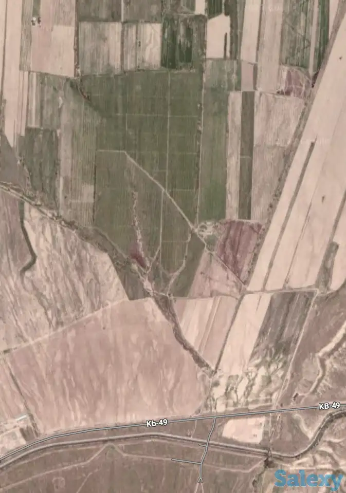 Продажа яблонево-сливовых садов в Алматинской области., фотография 3