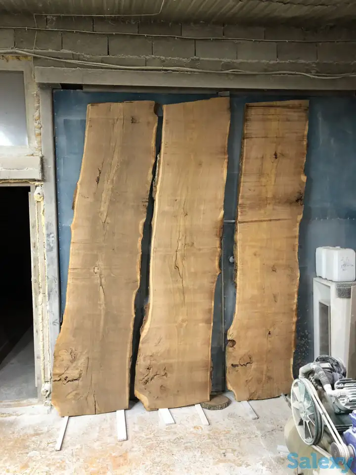 Слеб карагач., фотография 9