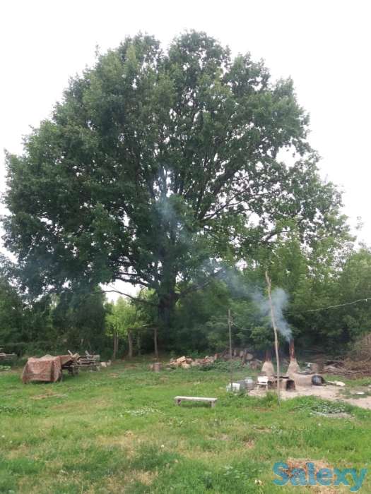 Продам дом срочно за выгодную цену!!!, Село Бактыбай Жамбыл 1, фотография 2