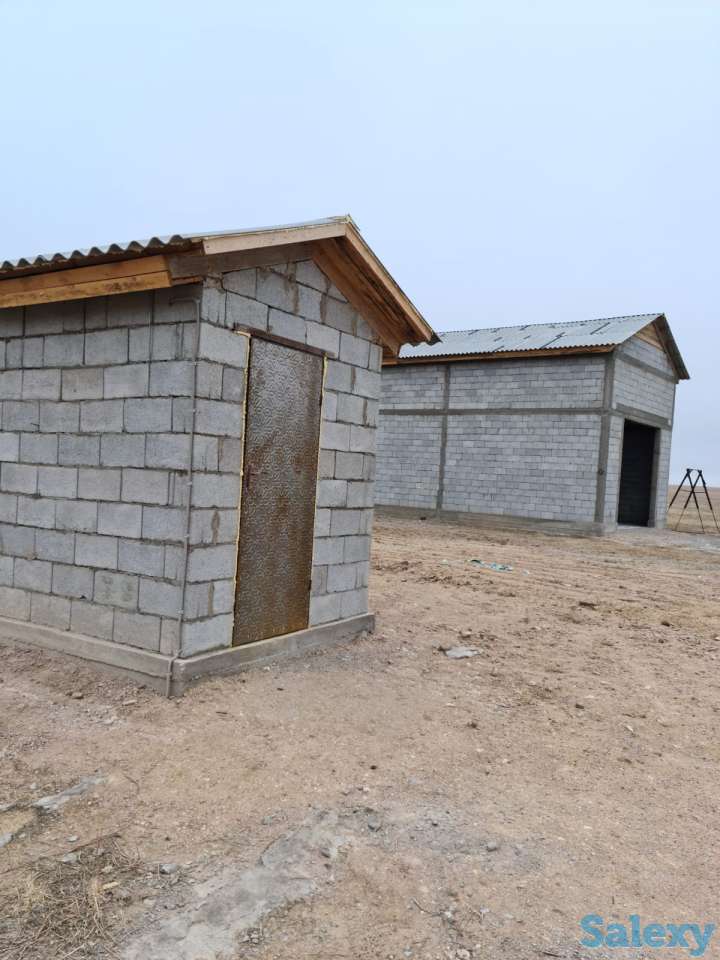 Фазенда (ферма), Капчагай-Курты 25 км, фотография 14