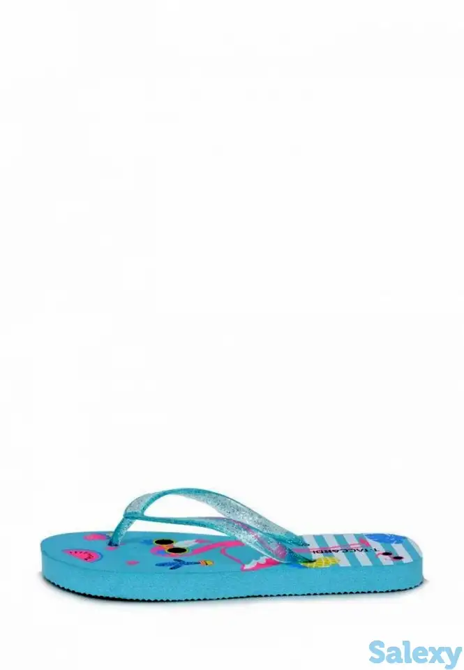 Сланцы t.taccardi, фотография 1