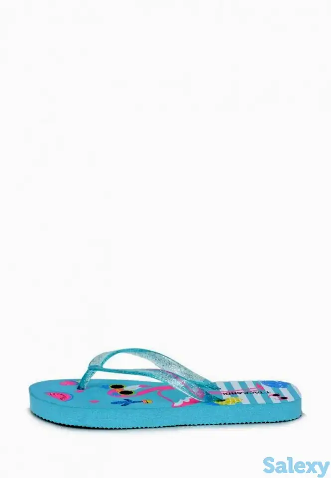 Сланцы t.taccardi, фотография 2