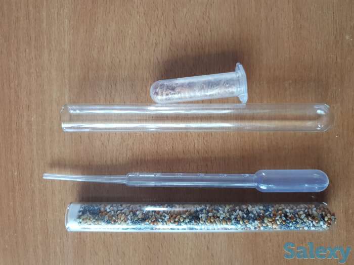 Муравьиная ферма, фотография 5