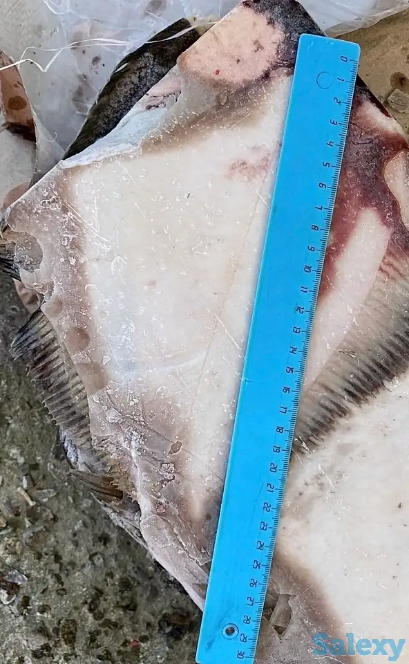 Рыба св.мороженная во Владивостоке., фотография 3