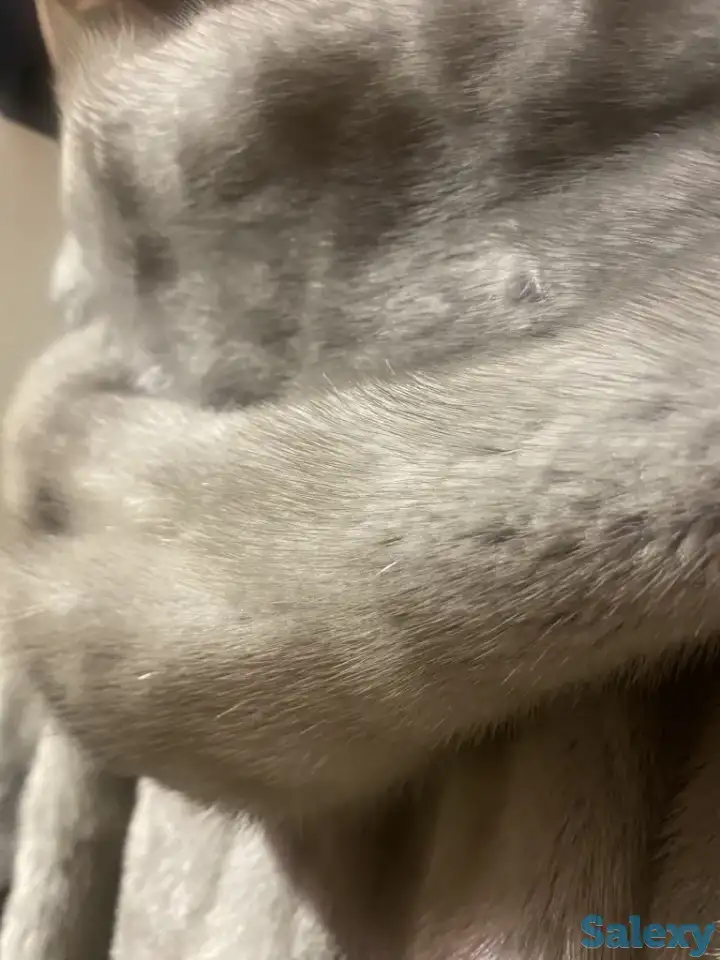 шуба норковая, фотография 3