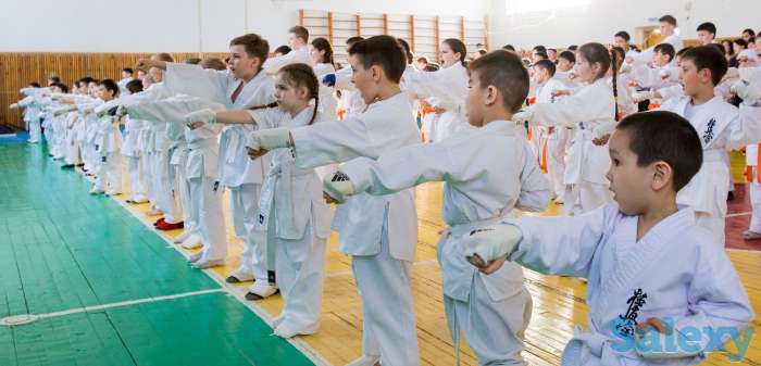 Обучение Кекушинкай каратэ в городе Костанай, фотография 1