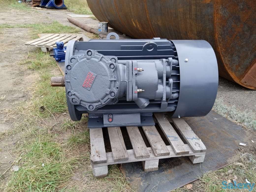 Электродвигатель взрывобезопасный ВАО2 280L 200 квт 3000об.мин., фотография 2