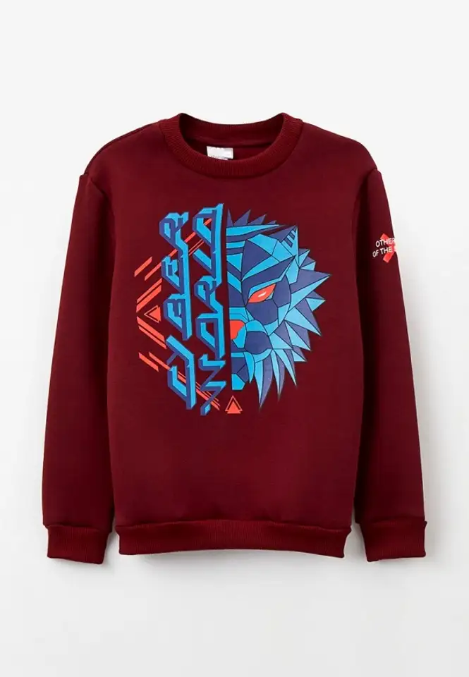 Свитшот elaria, фотография 1