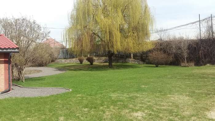 Продам дос, Багоношил, фотография 2