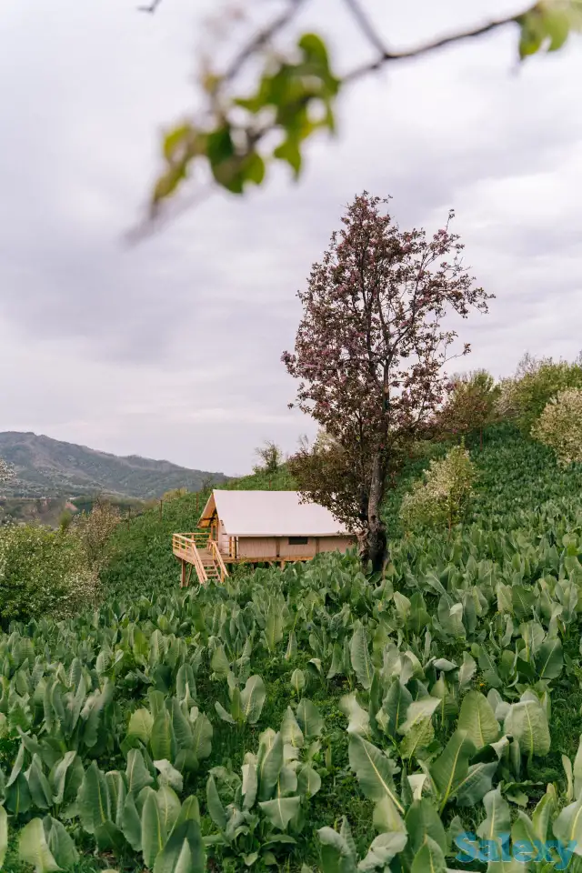 Аренда домов посуточно, с Бескайнар ,набережная 1/1, фотография 5