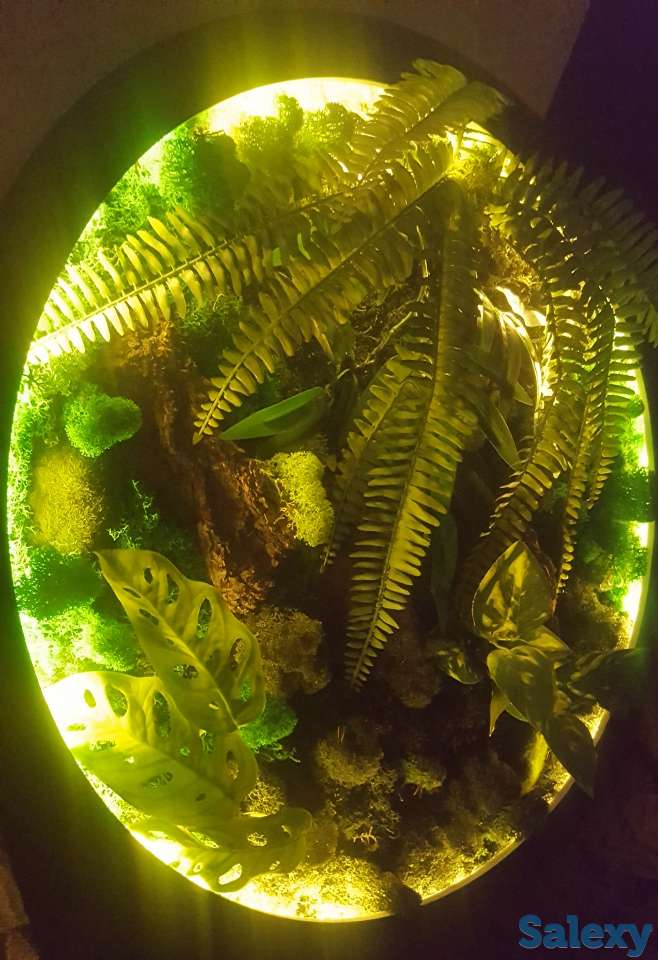 Картина, фотография 2