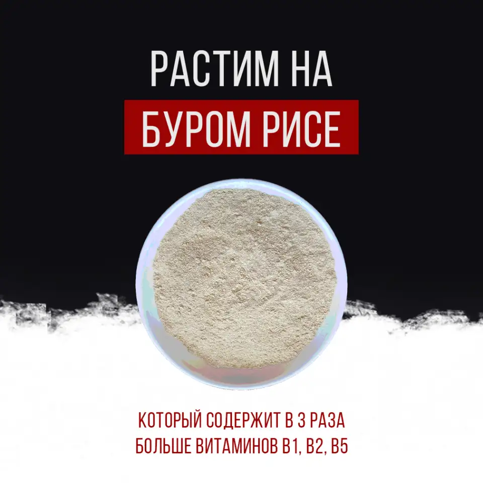 Ежовик гребенчатый, фотография 5