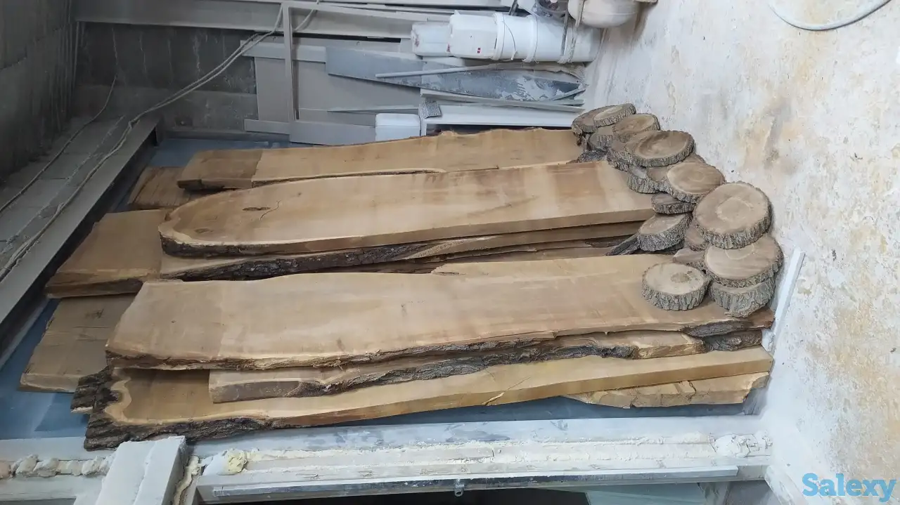 Слеб карагач., фотография 8