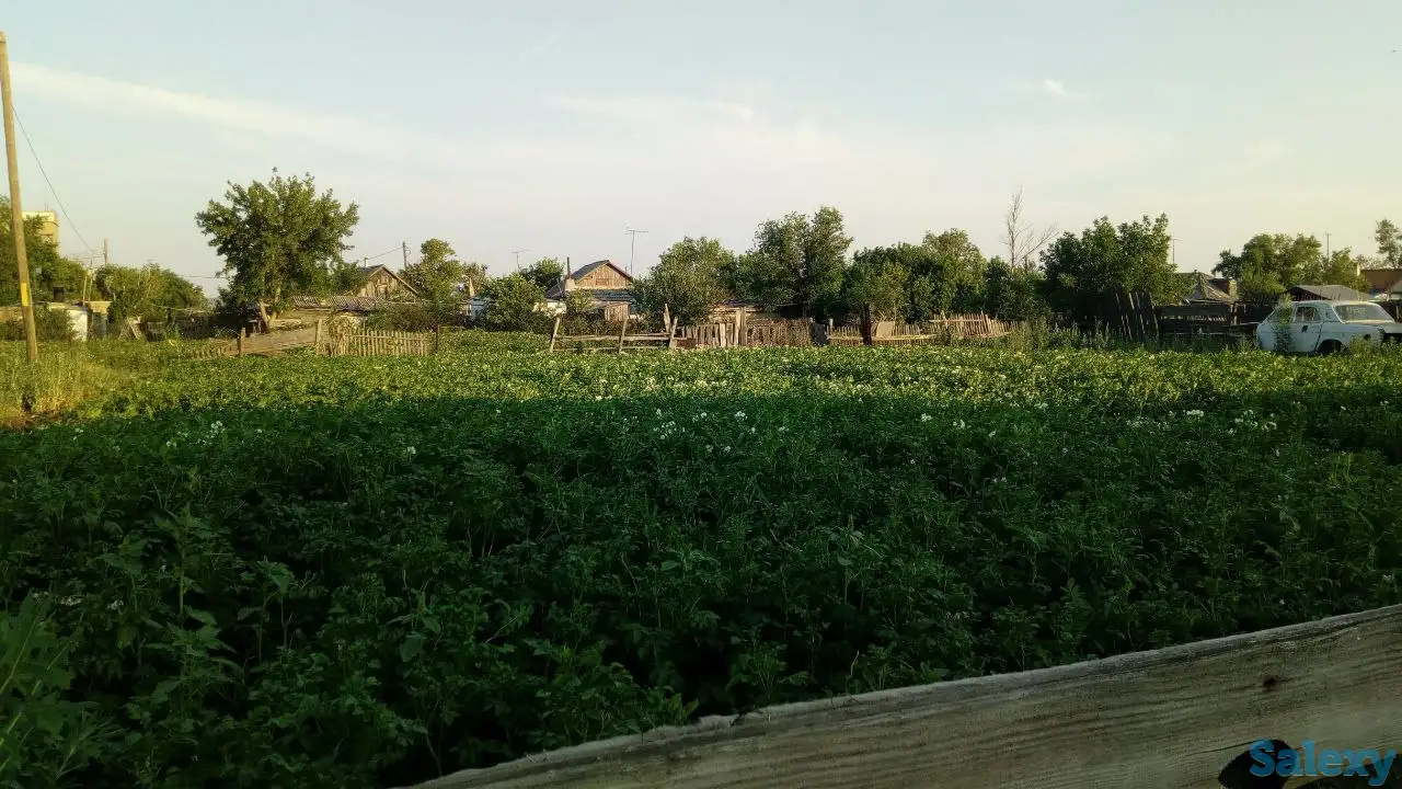 ПРОДАМ ДОМ в с.Калкаман (Павлодарская обл., Аксуский р-н) Земельный участок 20 сот., фотография 3