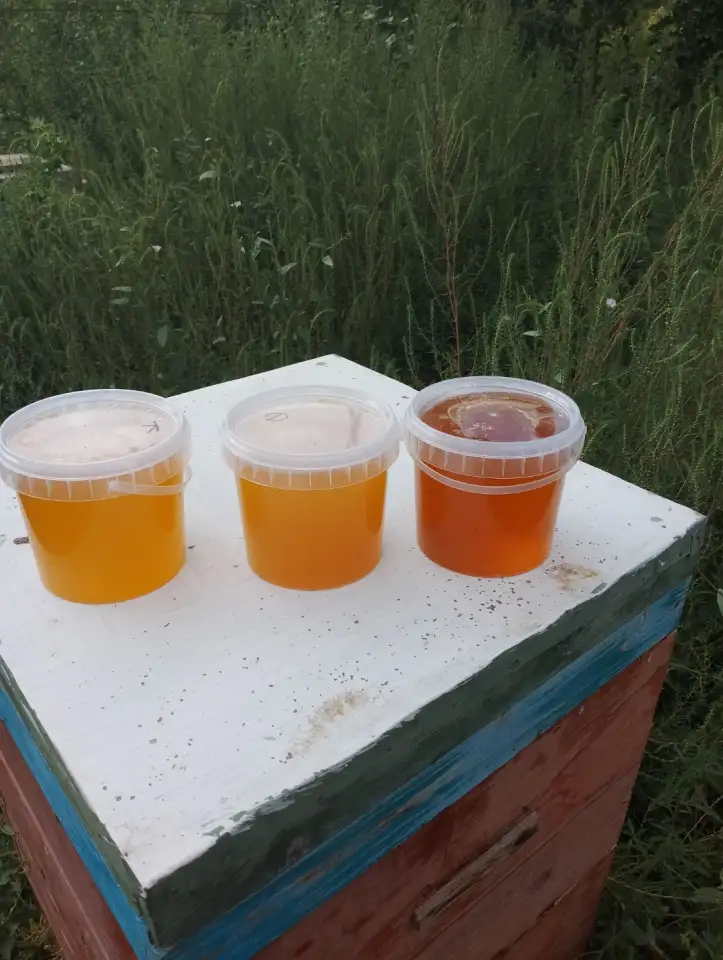 Продаем натуральный мёд, фотография 3