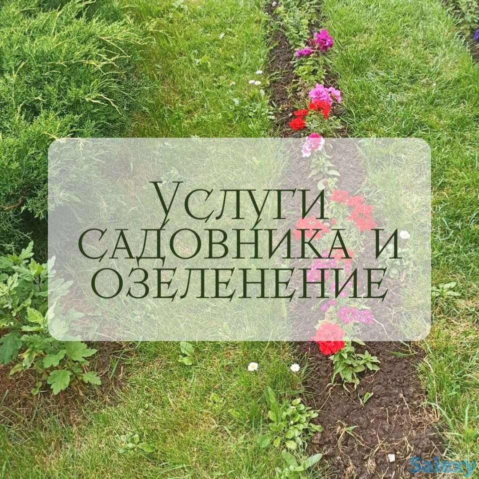 Услуги садовника и озеленение, фотография 4