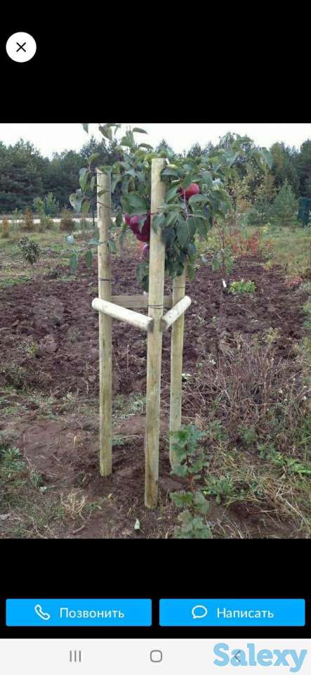 Колья-подпорки, фотография 2