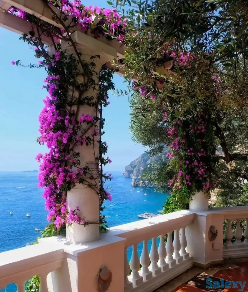 Качественная поклейка обоев, фотография 1