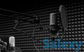 звукозапись, запись вокала, фотография 1