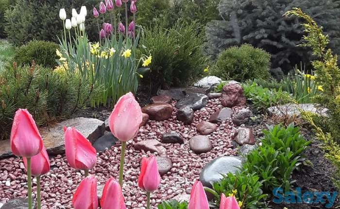 Профессиональный ландшафтный дизайн в Алматы!, фотография 7