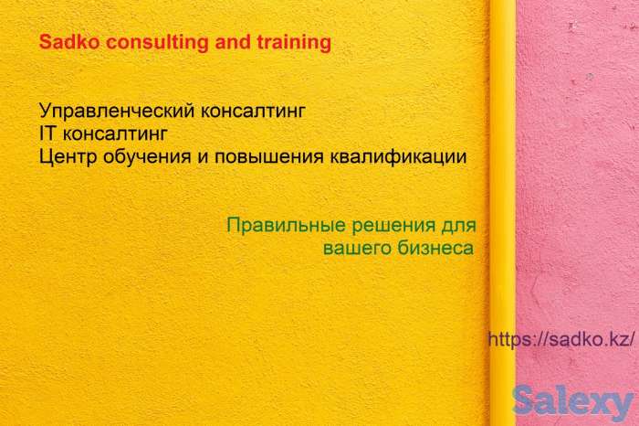 Управленческий консалтинг. Психология бизнеса., фотография 3