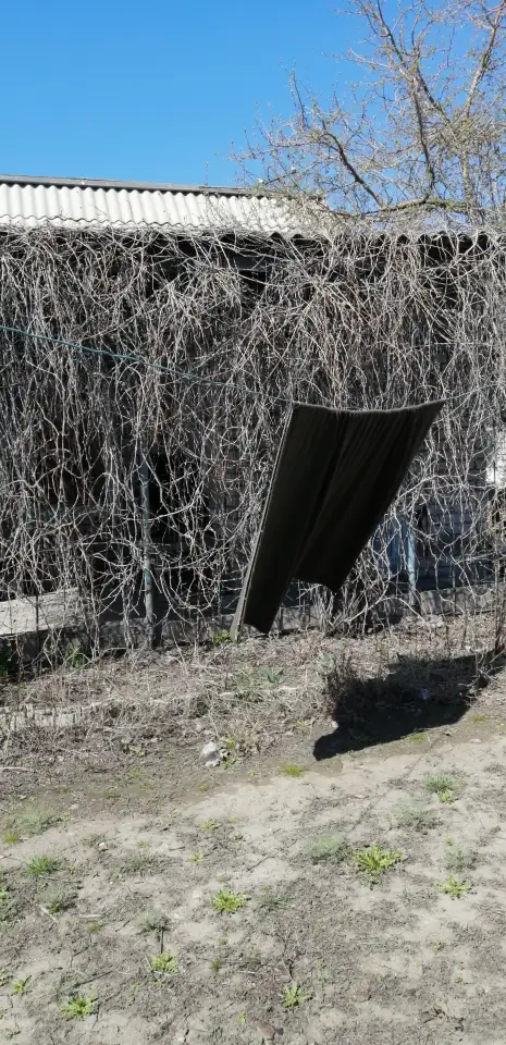 Продам дачу Мура 4, Массив Мұрат 1,2, фотография 1