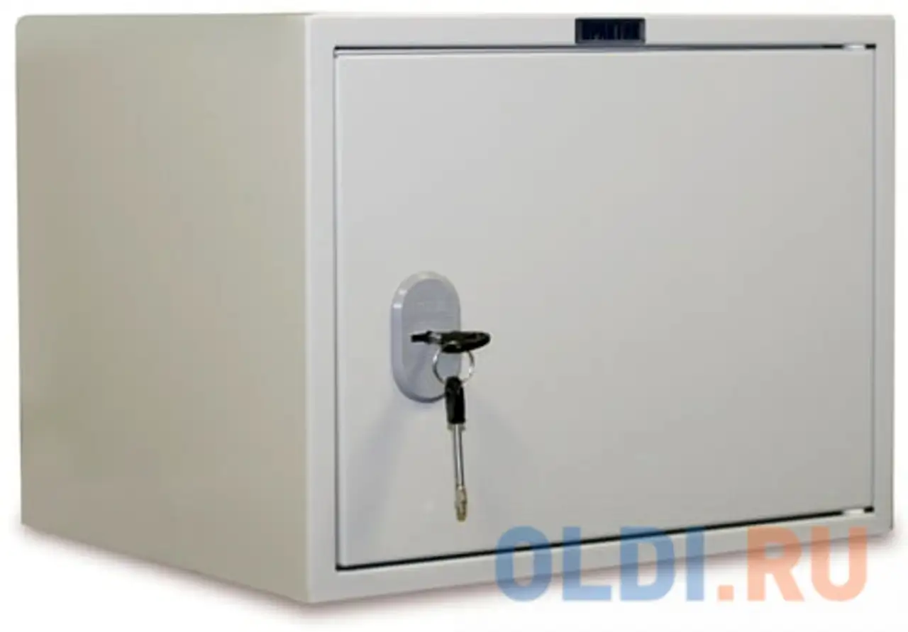 Шкаф металлический для документов практик 