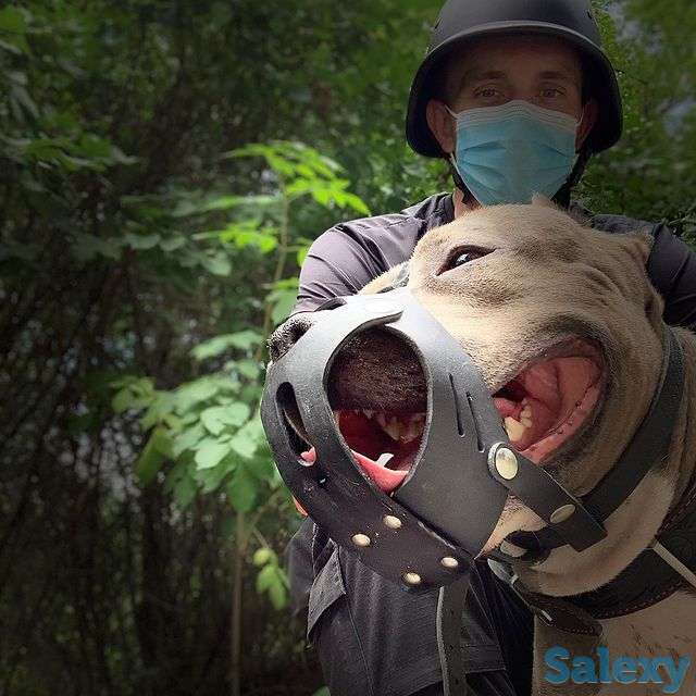 Антитеррористическая защита, фотография 1