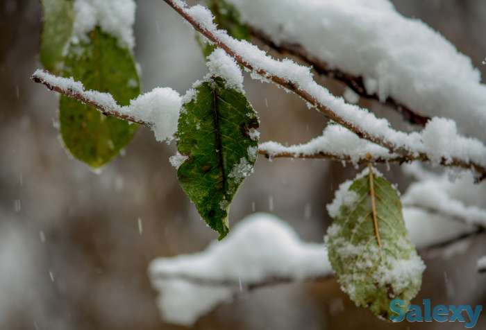 Видео-Фото, фотография 8