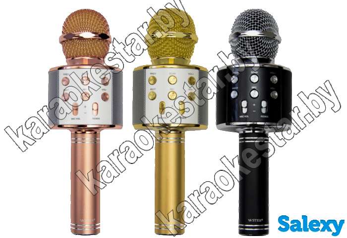 Караоке-микрофон WS-858 с бесплатной доставкой, фотография 2