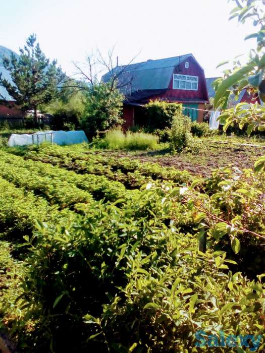 Продам двухэтажную дачу в живописном месте, Город Риддер, Ульбастрой., фотография 1