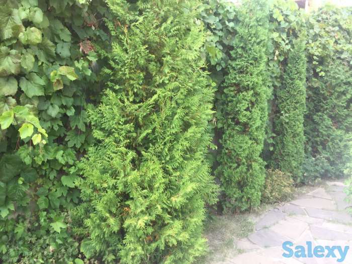 продам дом, Толе би ВОАД, фотография 9