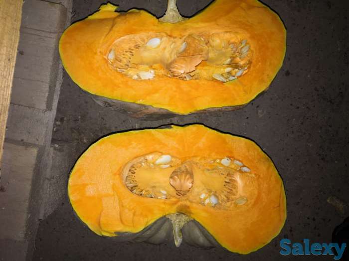 тыква оптом, фотография 3