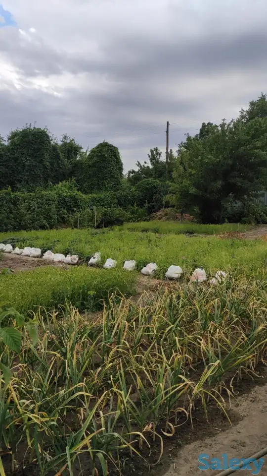 Дача 15 соток, Алматинская область, Талгарский район, с.о. Кендалинский, с. Кендала, с/т Медик-, фотография 4