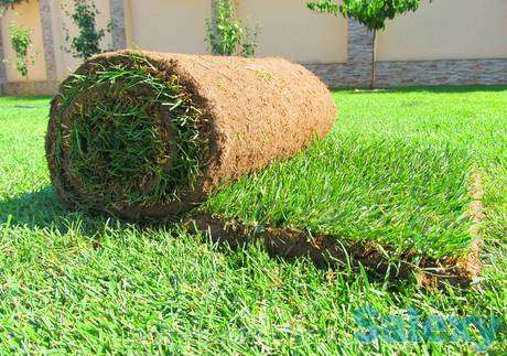 Рулонный газон., фотография 1