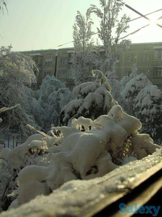 Видео-Фото, фотография 9