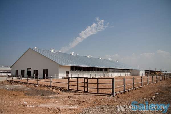 Теплицы на любой вкус, фотография 9