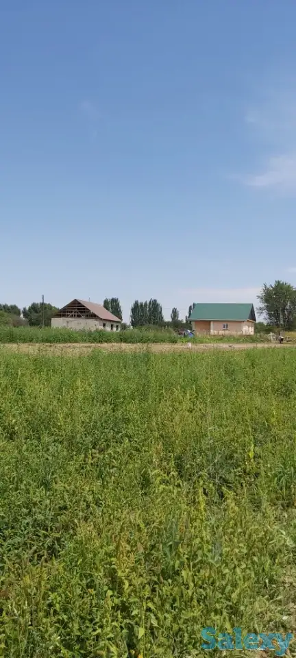 Продам участок 76 соток, р/н Кызыл Кайрат, фотография 10