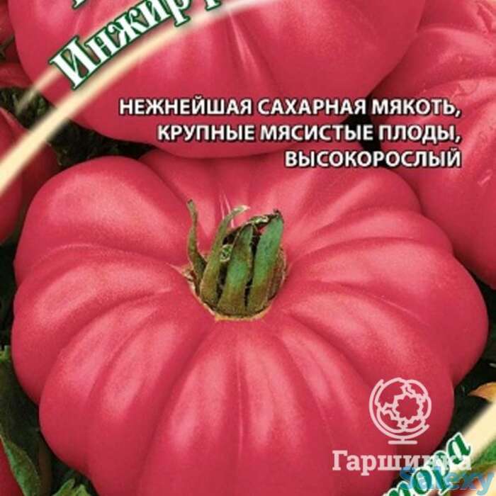 Семена Томат Инжир розовый 0,1г, фотография 1