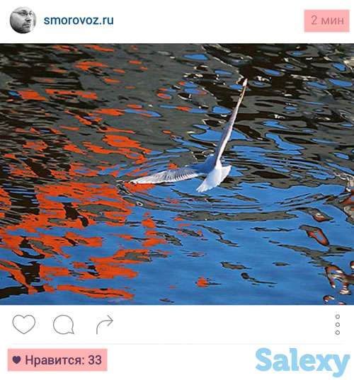 Индивидуальные уроки живописи, фотография 1