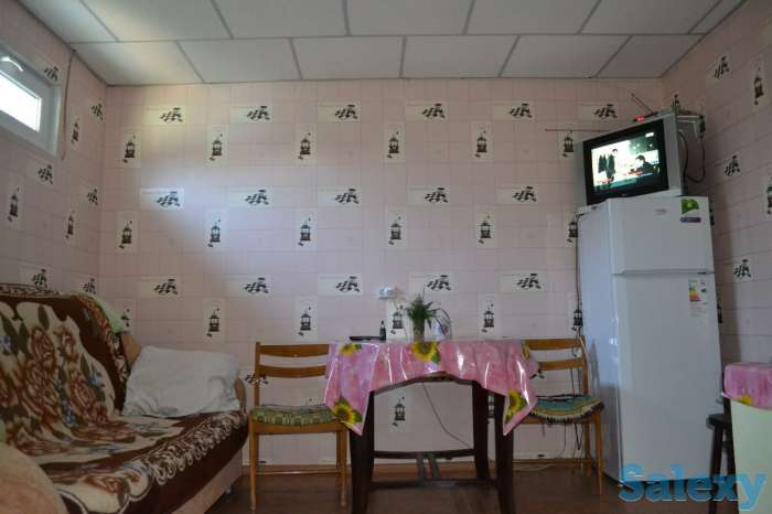 Сдается дача у озера Балхаш, фотография 5