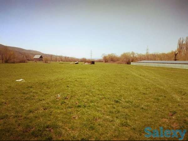 Продаются земельных участки по Каскеленской трассе г.Алматы., фотография 2