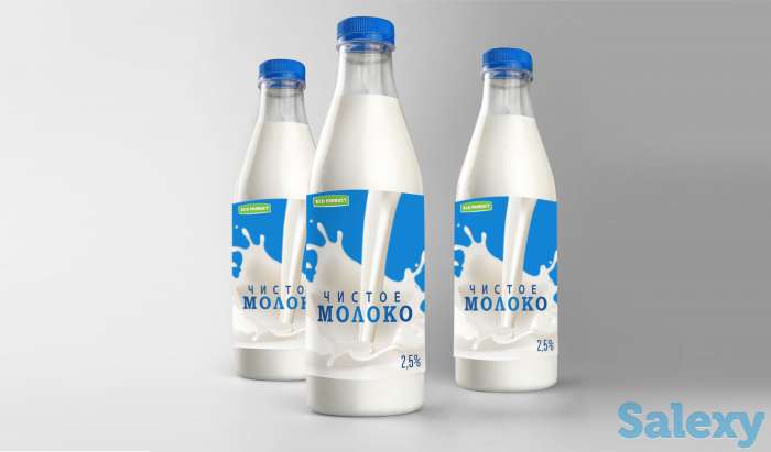 Разработка и создание логотипов, фирменных стилей, фотография 3