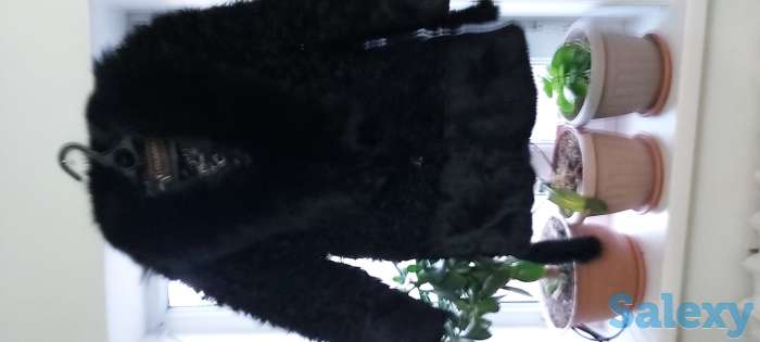 Продам женские куртки  размер 44,-46, фотография 3