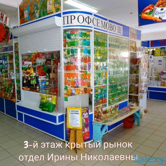 Семена Кокшетау, фотография 4