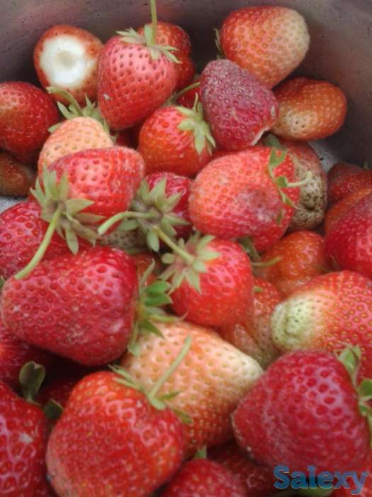 Уютный домик для летнего отдыха, Дачный массив (товарищество) Пламя приозерное;В сторону Каскелена; Дальше Алтын-, фотография 10