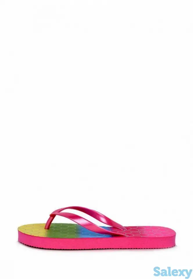 Сланцы t.taccardi, фотография 1