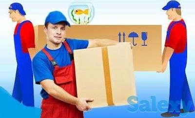 Перевозки и складские услуги, фотография 3